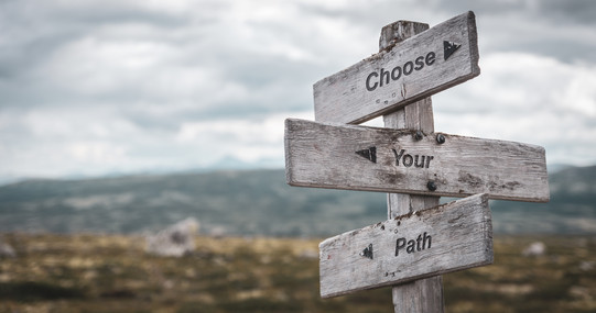 Career paths_Wiken