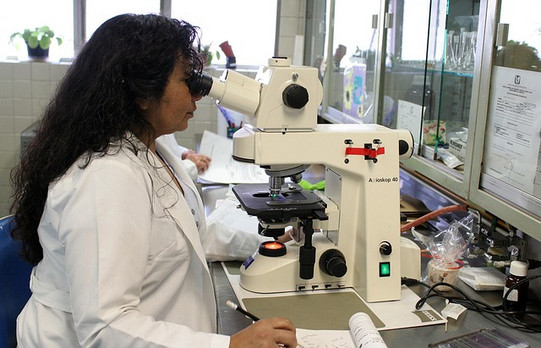 A woman looks into a microscope.