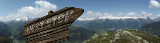 Header_Campus Network Career Service Ein hölzerner Wegweiser mit der weißen Aufschrift Next Step. Im Hintergrund ein Bergpanorama
